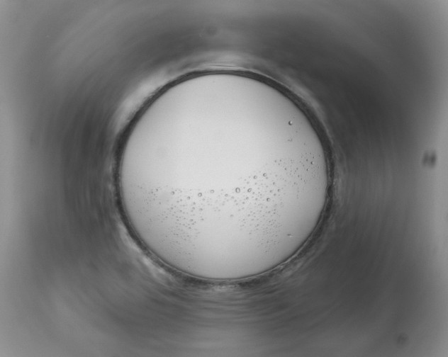 X0000113181464200909251430