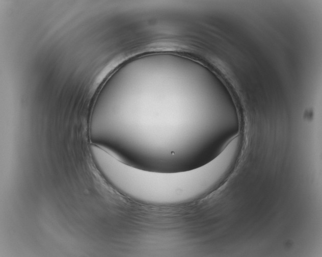 X0000113181465200909251430