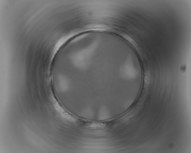 X0000113181466200909251430