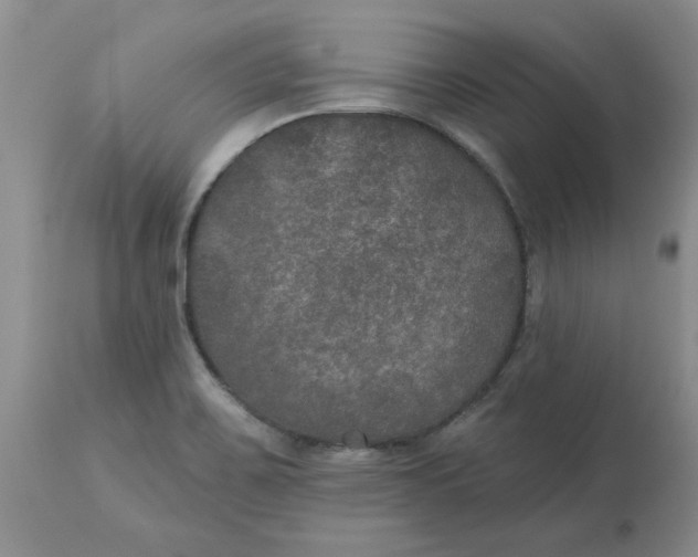 X0000113181467200909251430