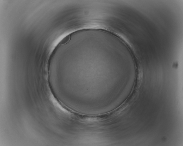 X0000113181468200909251430