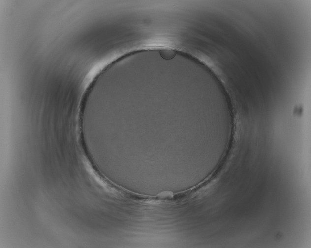 X0000113181469200909251430