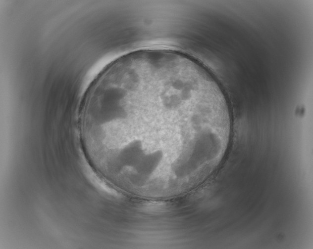 X0000113181470200909251430