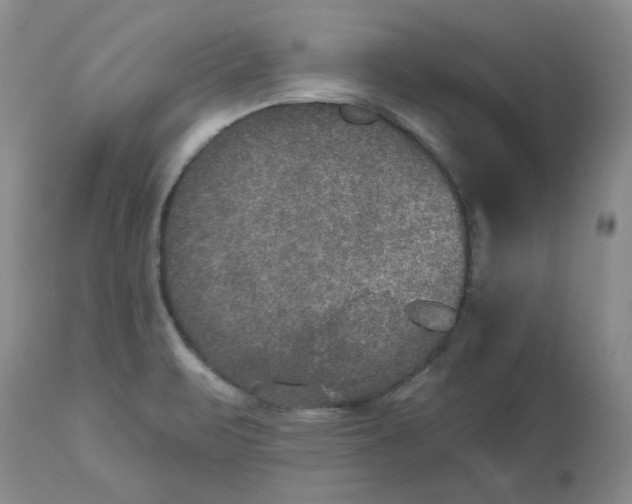 X0000113181471200909251430