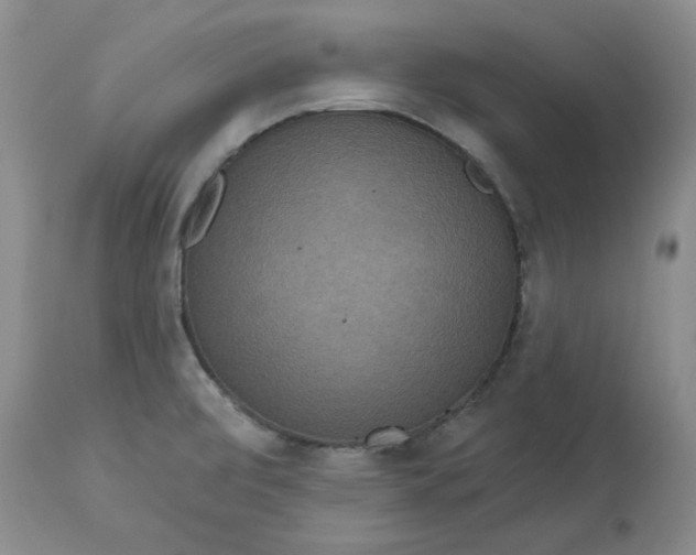 X0000113181472200909251430