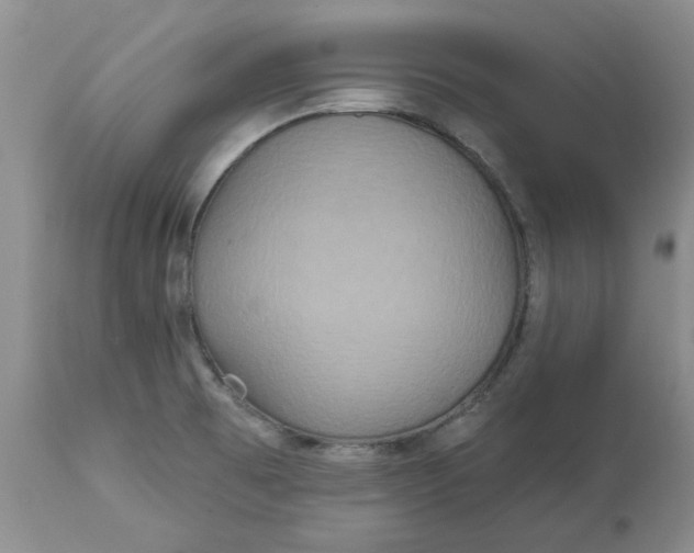 X0000113181473200909251430