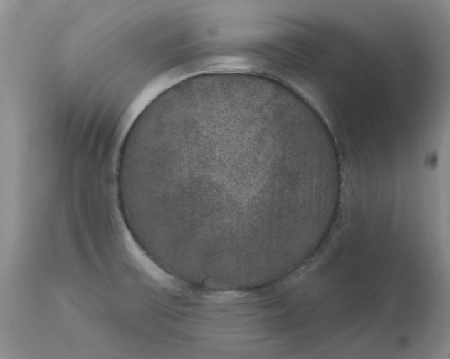 X0000113181475200909251430