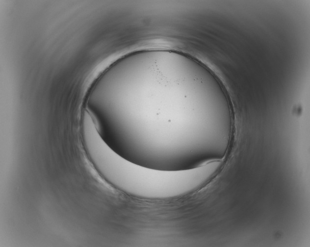 X0000113181477200909251430