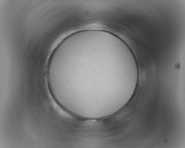 X0000113181478200909251429