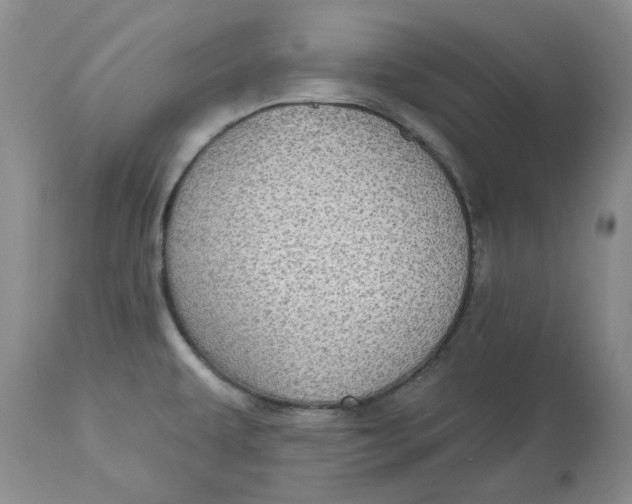 X0000113181479200909251429