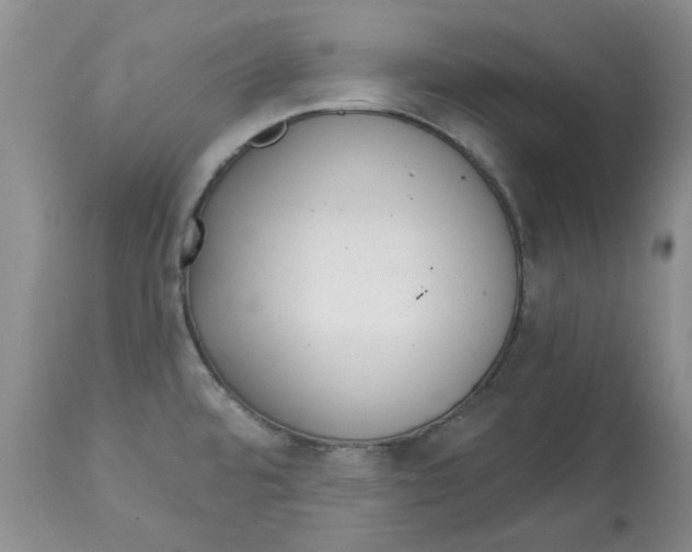 X0000113181480200909251429