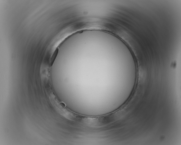 X0000113181481200909251429