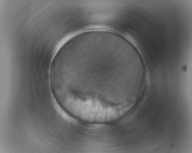 X0000113181482200909251429