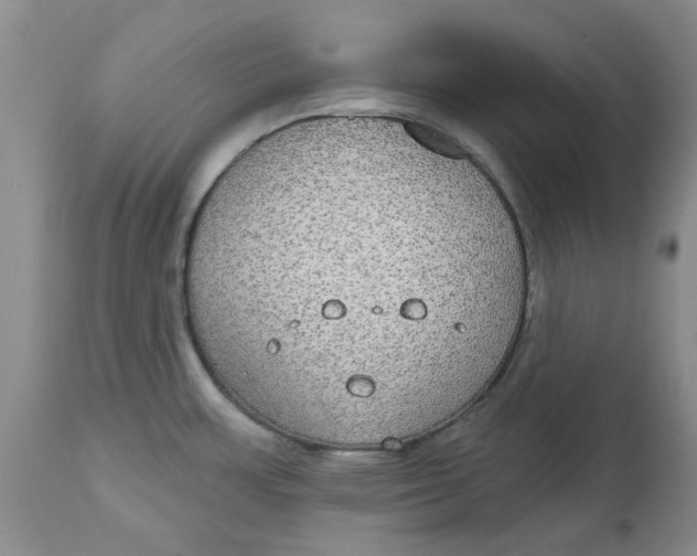 X0000113181483200909251429