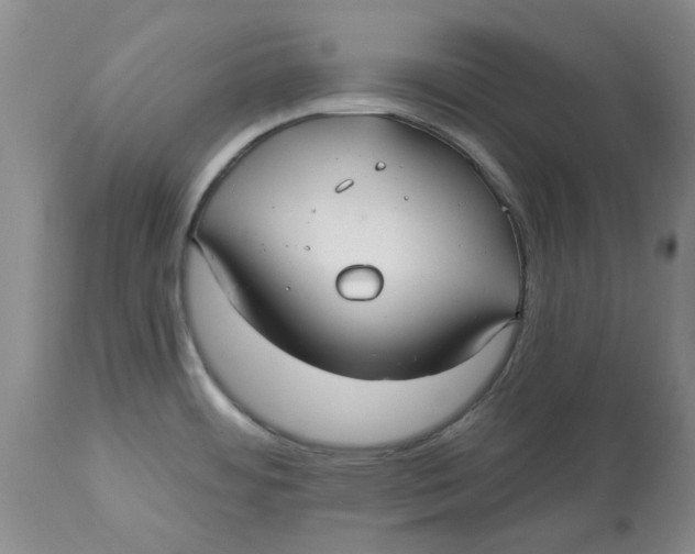 X0000113181484200909251429