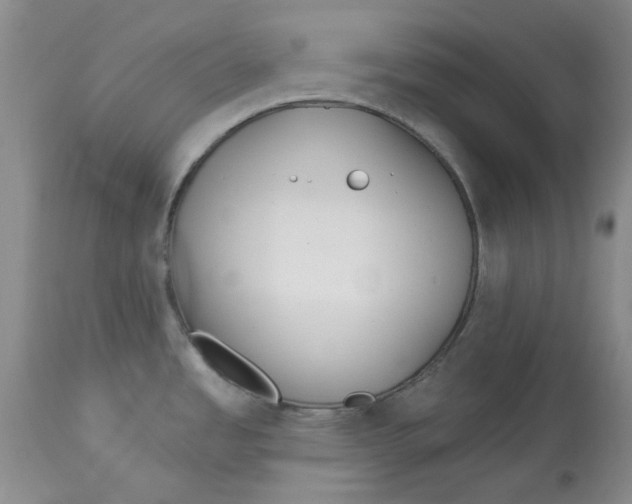 X0000113181485200909251429