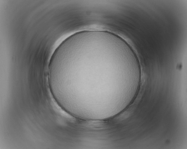 X0000113181486200909251429