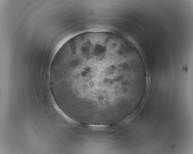 X0000113181487200909251429