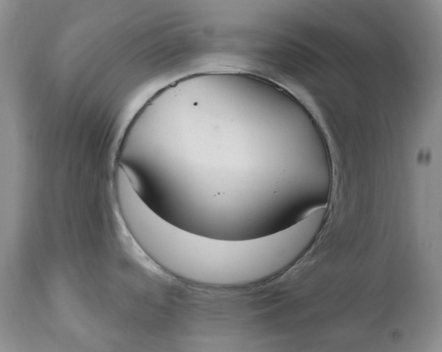 X0000113181488200909251429