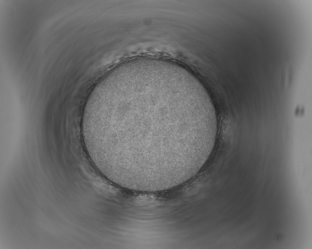 X0000113181489200909251429