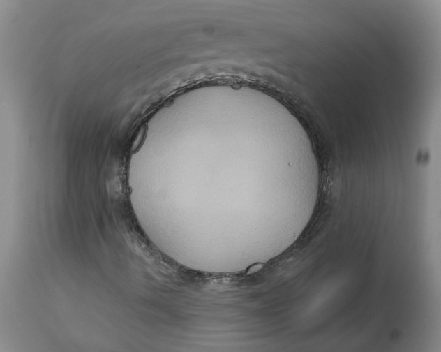 X0000113181490200909251429