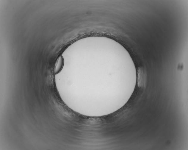 X0000113181491200909251429