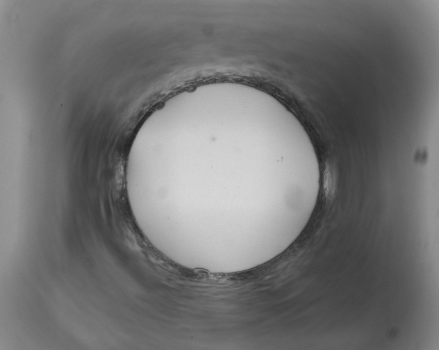 X0000113181492200909251429