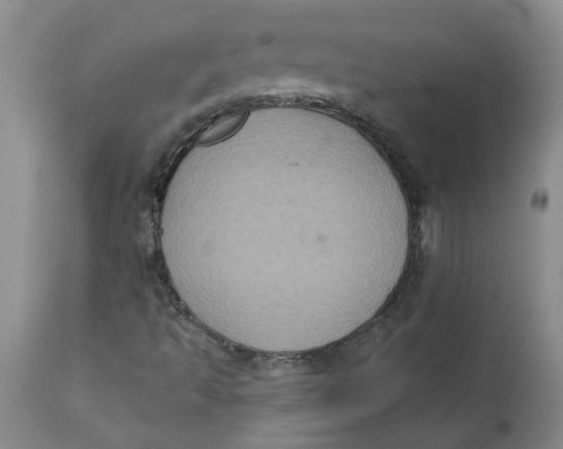 X0000113181493200909251429