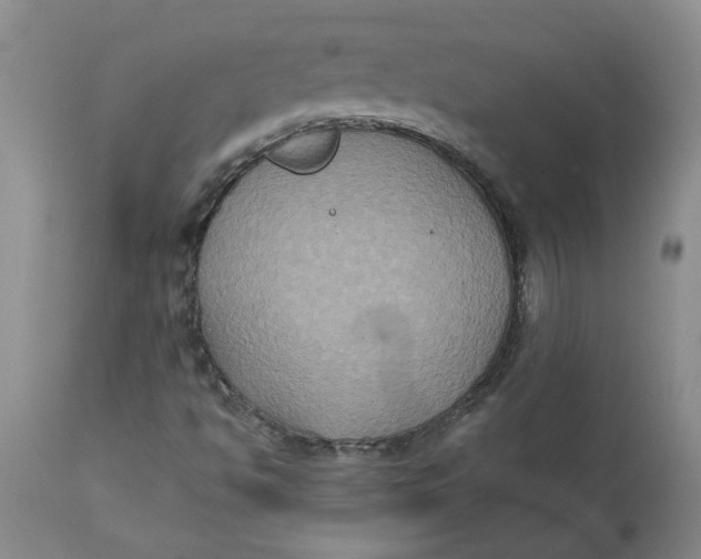 X0000113181494200909251429