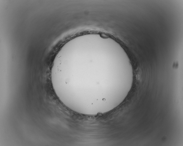 X0000113181495200909251429