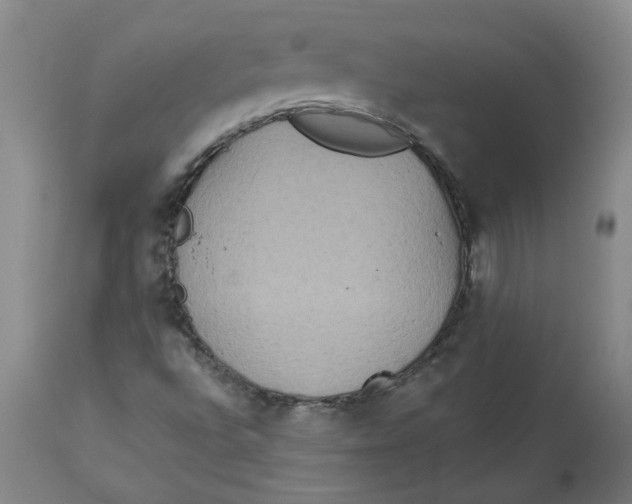 X0000113181496200909251429