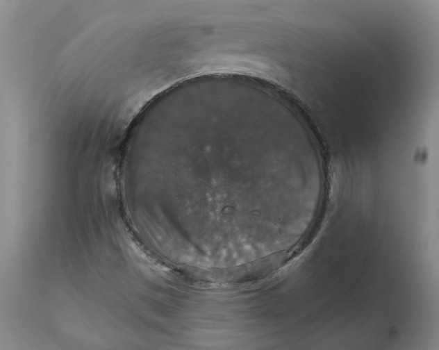 X0000113181497200909251429