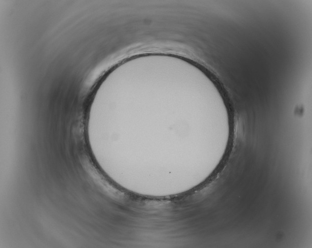 X0000113181498200909251429