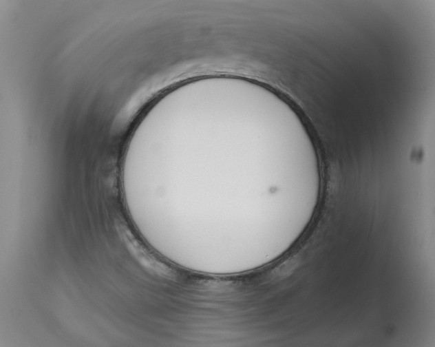 X0000113181499200909251429