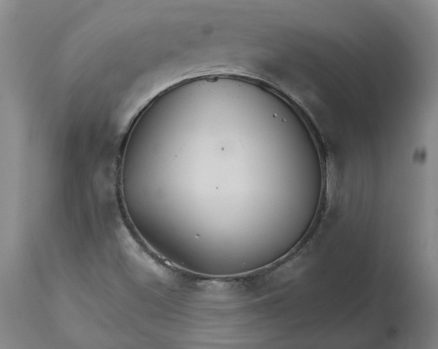 X0000113181500200909251429