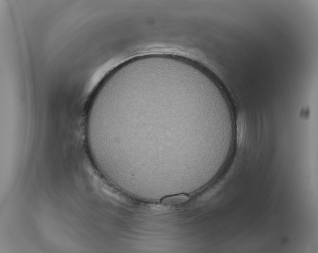 X0000113181501200909251429