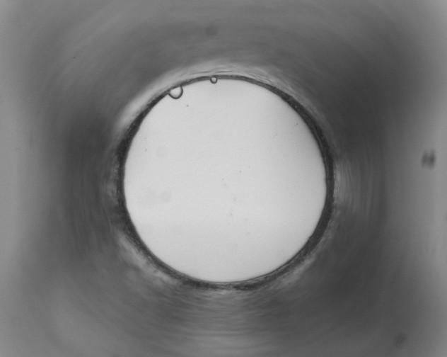 X0000113181502200909251429