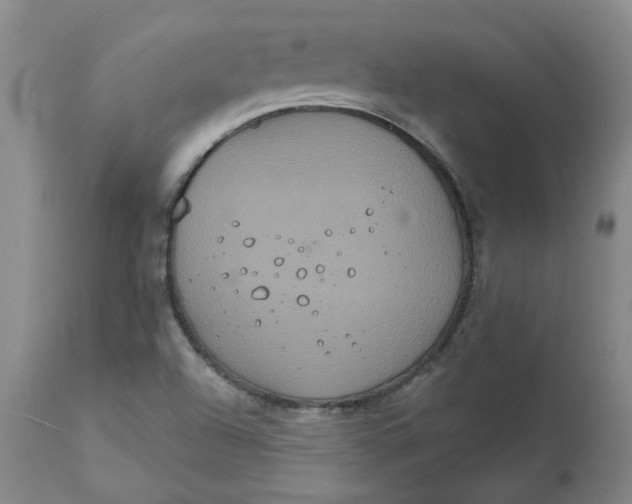 X0000113181504200909251429