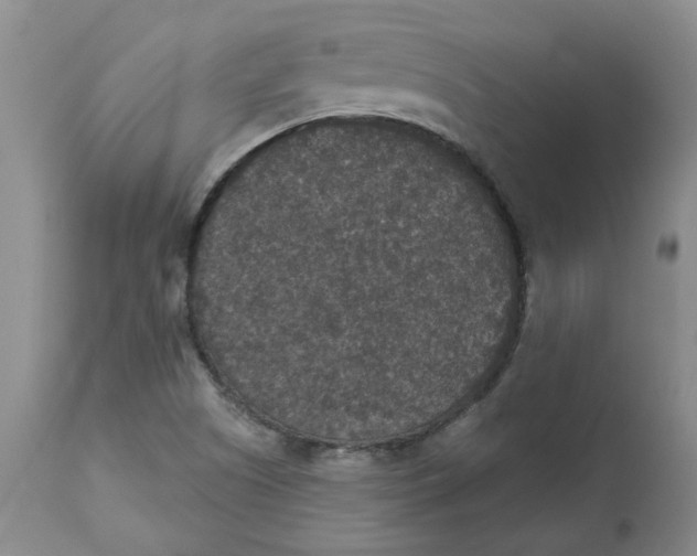 X0000113181505200909251429