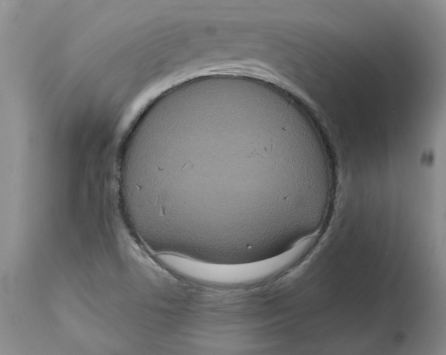 X0000113181506200909251429