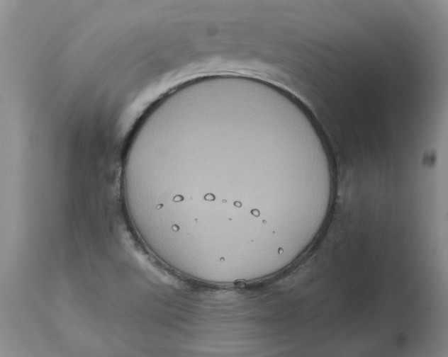 X0000113181507200909251429