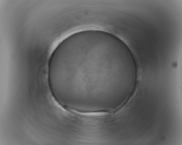 X0000113181508200909251429