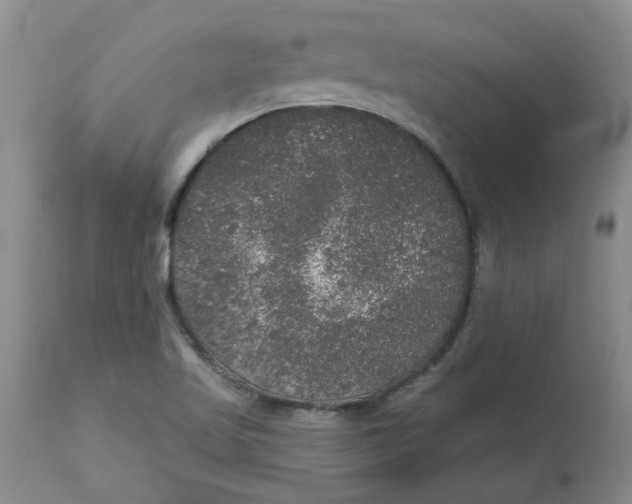 X0000113181509200909251429