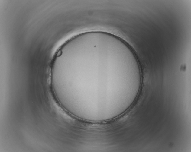 X0000113181510200909251429