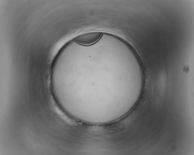 X0000113181511200909251429