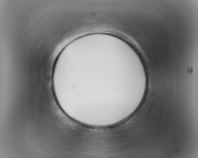 X0000113181512200909251429