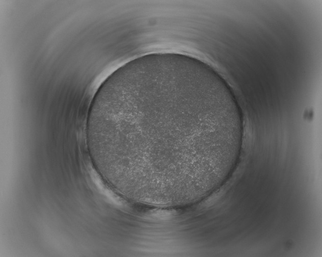 X0000113181513200909251429