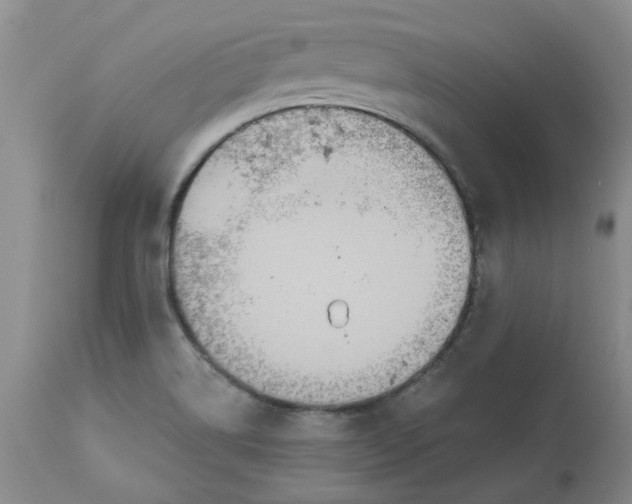 X0000113181514200909251429