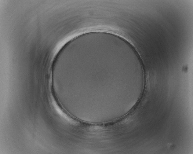 X0000113181515200909251429