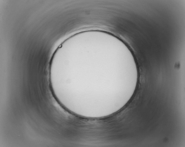 X0000113181516200909251429